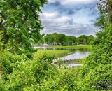 High Dynamic Range landscape of a pond with trees surrounding